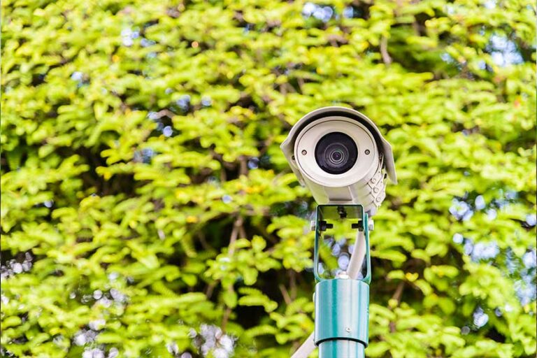 Peran-IP-Camera-CCTV-dalam-Memantau-Aktivitas-Pengolahan-dan-Pemrosesan-Hasil-Perkebunan-DCT