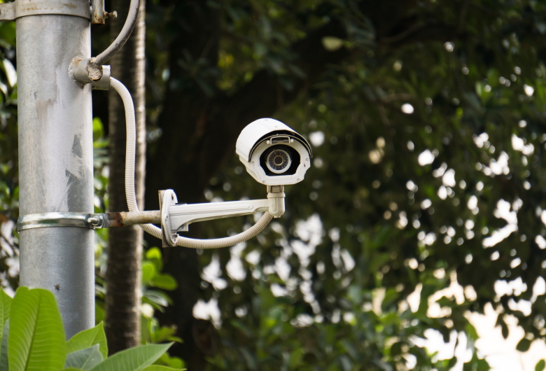 CCTV-Plantation-Solusi-dalam-Menjaga-Keamanan-dan-Produktivitas-Perkebunan-Skala-Besar