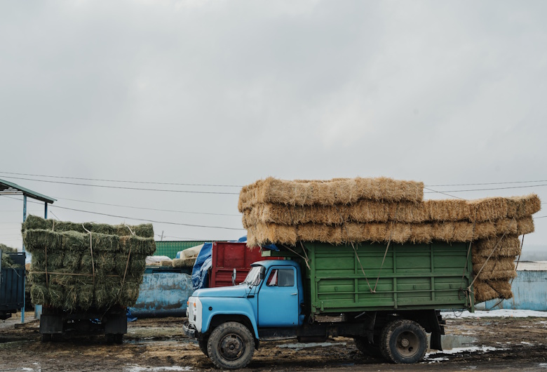 Solusi-Over-Load-Kendaraan-untuk-Menghindari-Pelanggaran-ODOL-DCT-1