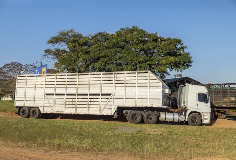 Modifikasi-Truk-Tanpa-Izin-Siap-Siap-Kena-Tilang-dan-Gagal-KIR-DCT