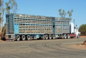 Dampak-Modifikasi-Kendaraan-Terhadap-Program-Zero-ODOL-DCT