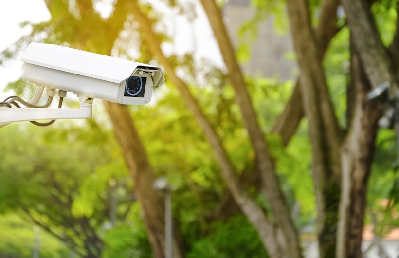 9-Tips-Memilih-CCTV-Perkebunan-yang-Tahan-Cuaca-Ekstrem-DCT