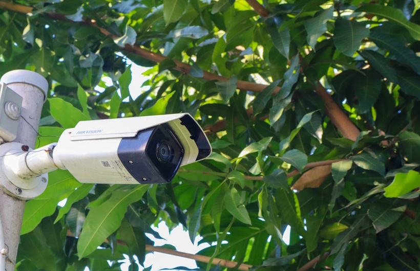 9 Tips Memilih CCTV Perkebunan yang Tahan Cuaca Ekstrem