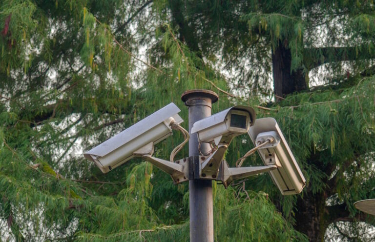 Jasa-Instalasi-CCTV-untuk-Lahan-Perkebunan-yang-Luas-DCT