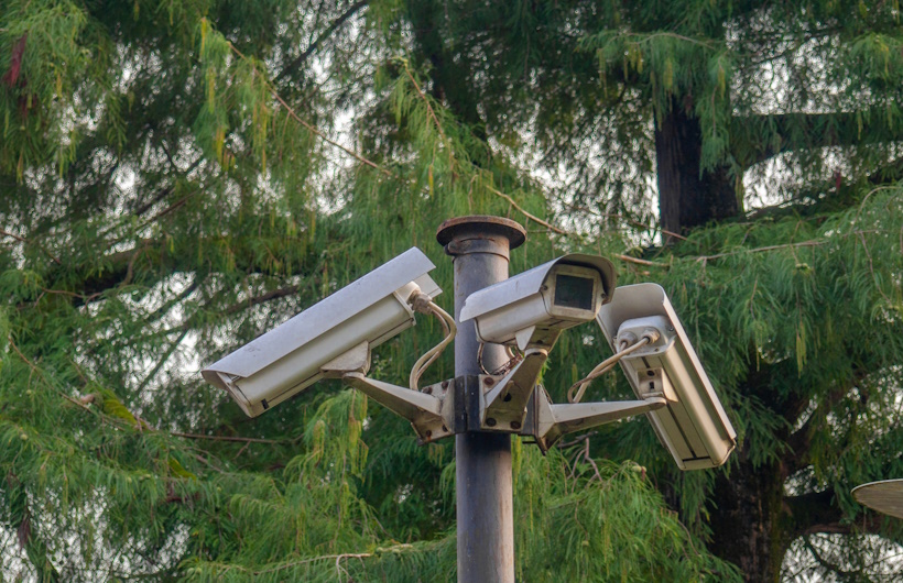 Jasa-Instalasi-CCTV-untuk-Lahan-Perkebunan-yang-Luas-DCT