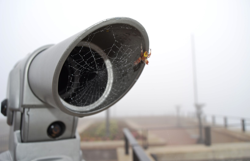 Fitur-fitur Penting CCTV Mining yang Wajib Dimiliki Perusahaan Tambang